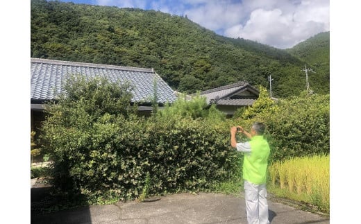 
有田川町シルバー人材センターによる空き家見回りサービス
