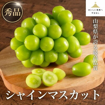 【ふるさと納税】【秀品・JA全農やまなし】山梨県産ハウス栽培シャインマスカット 1房(約500g)【6月上旬～発送】【配送不可地域：離島】【1491131】