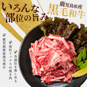 A5等級鹿児島県産黒毛和牛 焼肉切り落とし750g 250g×3P カミチク IB112-016 牛肉 牛肉 