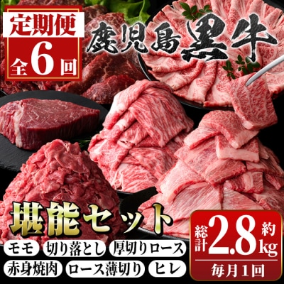 定期便・全6回(連続)鹿児島黒牛定期便・堪能セット(全6種・合計2.8kg)　D01011