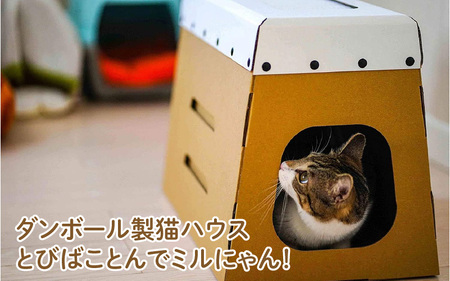 ダンボール製猫ハウスとびばことんでミルにゃん！ - 段ボール製の今までなかった猫ハウス！