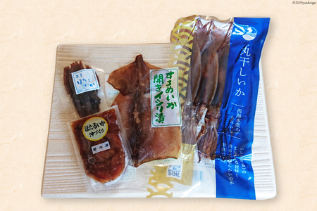 能登の魚醤いしり使用「いかづくし」 [西海水産 石川県 志賀町 AB4123] いか イカ おつまみ もみいか 干しいか ほたるいか 手作り 詰合せ セット