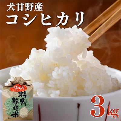 ふるさと納税 亀岡市 いぬかんの　コシヒカリ　3kg
