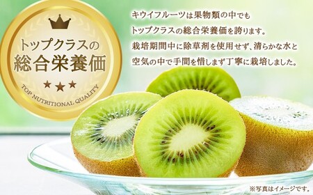 【体が喜ぶ】 キウイフルーツ 約2kg前後 （17～22個） バラ詰め合わせ （スタンドパック 3袋付き） 【2026年12月上旬-2027年4月下旬発送】 果物 くだもの 果実 キウイフルーツ フル
