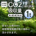 【ふるさと納税】CO2（二酸化炭素）吸収量 1t カーボンオフセット 故郷 ふるさと 納税 北海道 下川町 F4G-0011