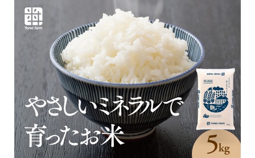 おいしいお米(5kg)無洗米　リピーター続出【1647875】
