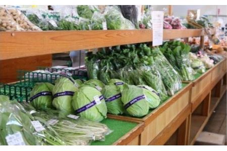 【6カ月定期便】厳選・「おおばん市場」旬の野菜詰め合わせ