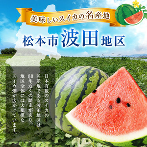 信州波田産 高級 黒玉スイカ！信州の涼味 【贈答】 2L～3Lサイズ 1玉｜ふるさと納税 長野県 信州 松本 果物 フルーツ すいか スイカ 西瓜 贈答 季節限定 甘い くだもの ふるーつ