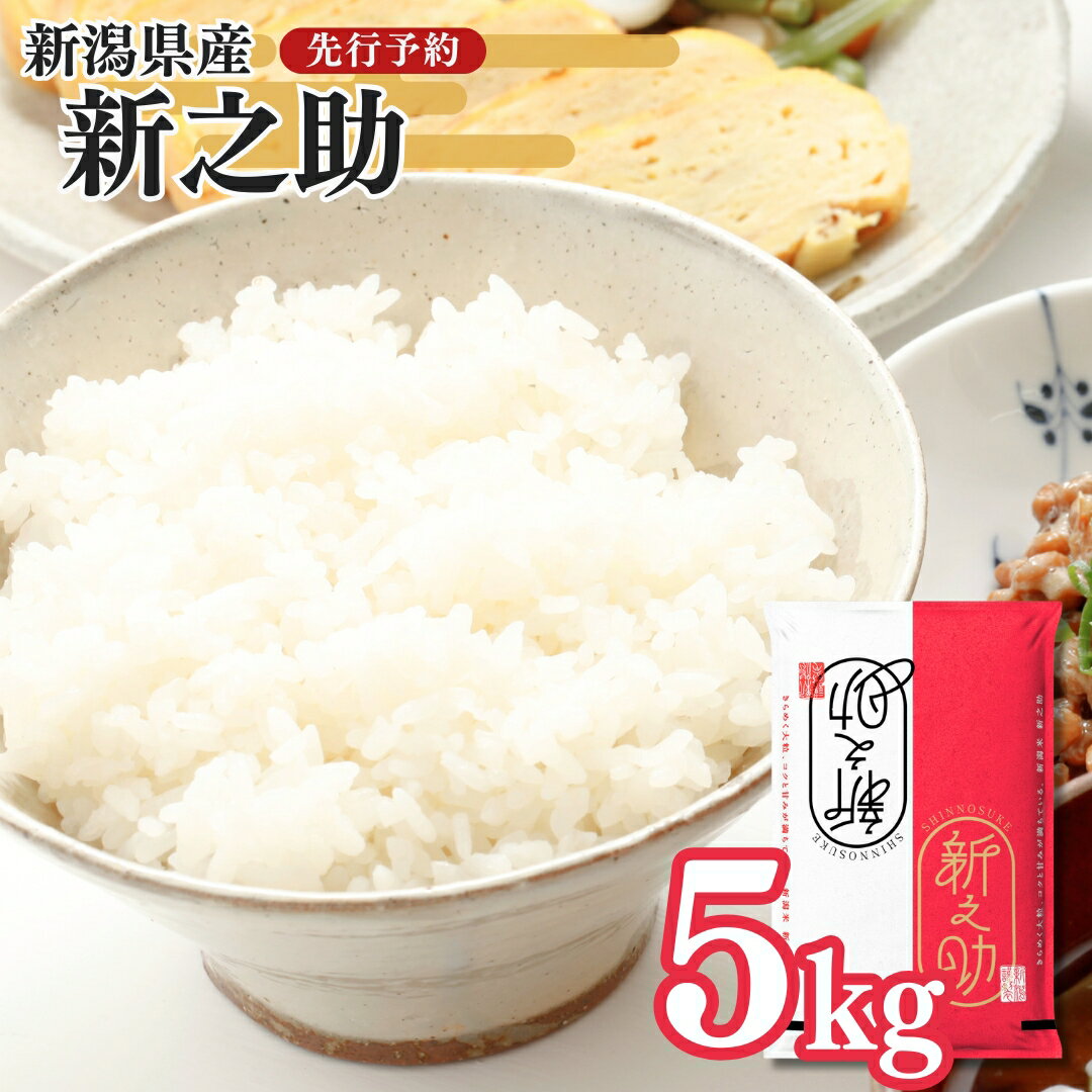【ふるさと納税】新潟県三条産新之助 5kg×1袋 令和7年産新之助 精米 新潟県産新之助 【014S148】