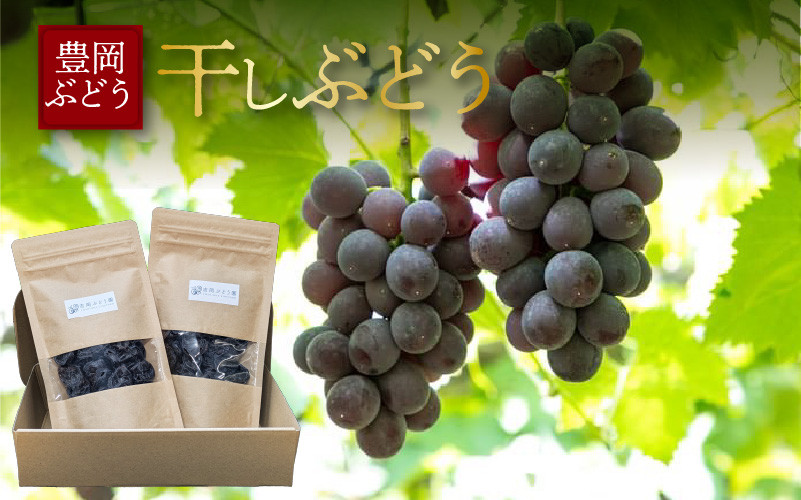 
                  干しぶどう 200g
                
