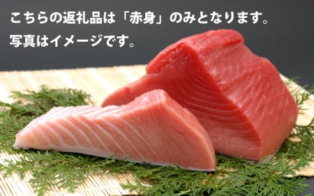 本マグロ 赤身500g（養殖） マグロ まぐろ 赤身 刺身 サク 柵 【nks803】 