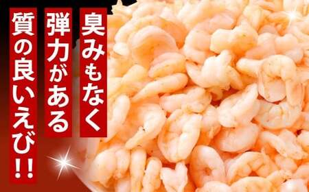 贅沢な下処理不要むきえび 1袋 計約500g むきえび むきエビ むき海老 えび エビ 海老 背ワタなし 下処理不要 海鮮 冷凍 福岡県 北九州市