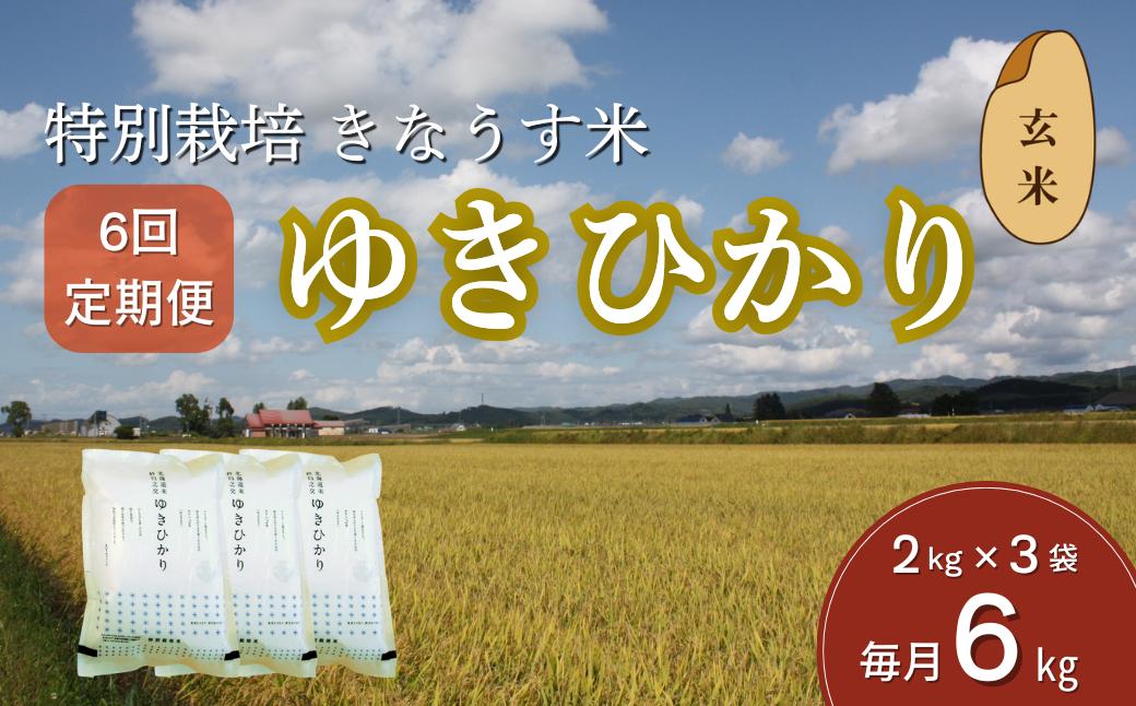 
            【玄米6ヶ月定期便】特別栽培米ゆきひかり2kg×3袋　L012
          