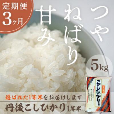 ふるさと納税 京丹後市 【毎月定期便】丹後こしひかり1等米5kg全3回