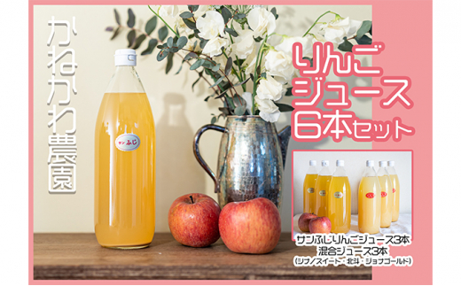 
りんごジュース6本セット [№5915-1087]
