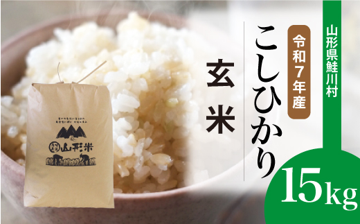 
                  ＜令和7年産＞ こしひかり 【玄米】 15kg （15kg×1袋）＜配送時期選べます＞　山形県鮭川村
                