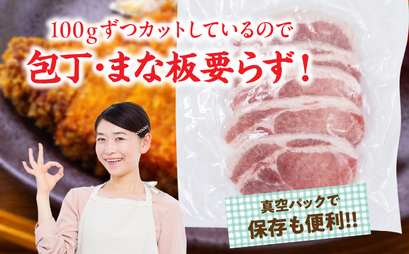 宮崎県産 豚ロース (トンテキ・とんかつ用) 計1kg 肉 豚肉 ポーク 国産 食品 万能食材 真空パック 簡単調理 おかず お弁当 おつまみ 豚丼 焼肉 炒め物 カレー ステーキ おすすめ ご褒美 