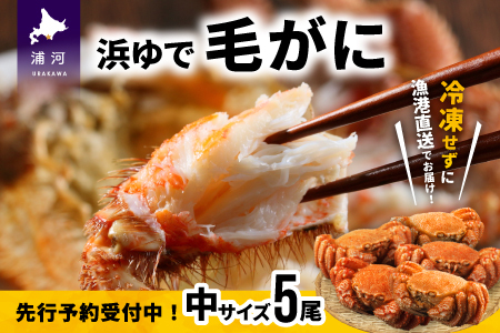 【今が旬！】漁協の浜ゆで毛がに 中サイズ５尾セット※日付指定対応不可※[02-628]