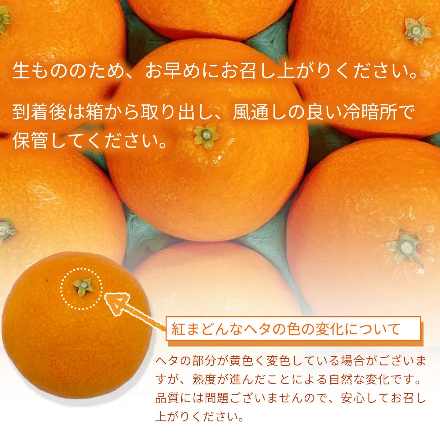 紅まどんな 3㎏（青秀・8～12個入・4L～2Lサイズ）｜柑橘 まどんな【JA東園】