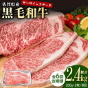 【ふるさと納税】【6回定期便】佐賀県産 黒毛和牛 贅沢 サーロイン ステーキ 200g×2枚（計400g）【株式会社いろは精肉店】お肉 肉 牛肉 冷凍 和牛 [IAG100]