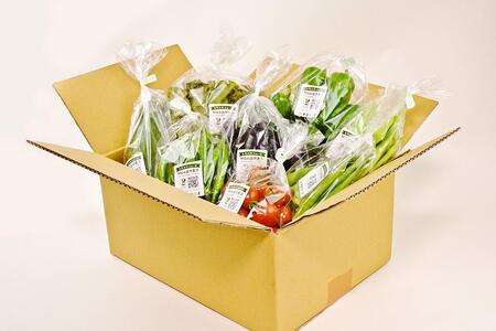 7・8月　計2回定期便　北海道産旬の無農薬栽培　野菜の詰め合わせ6～8種類 【 サニーレタス 水菜 チンゲンサイ さやえんどう スナップエンドウ さやいんげん ささぎ豆 春大根 ズッキーニ なす トマ