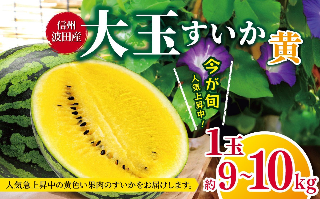 
            【先行受付：2026年発送】信州波田産　大玉すいか（黄） 1玉 約９～１０kg │ すいか スイカ 大玉 野菜 夏 果物 新鮮 自然 甘い 美味しい 波田 長野県 信州 松本 ふるさと納税
          