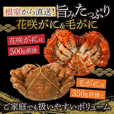 ふるさと納税 根室市 ＜12/21まで年内配送＞花咲がに1尾、毛がに1尾セット A-54004 |  | 01