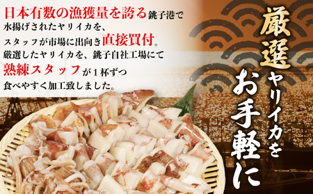 カットヤリイカ 約1.2kg いか いか いか いか いか 大一奈村魚問屋