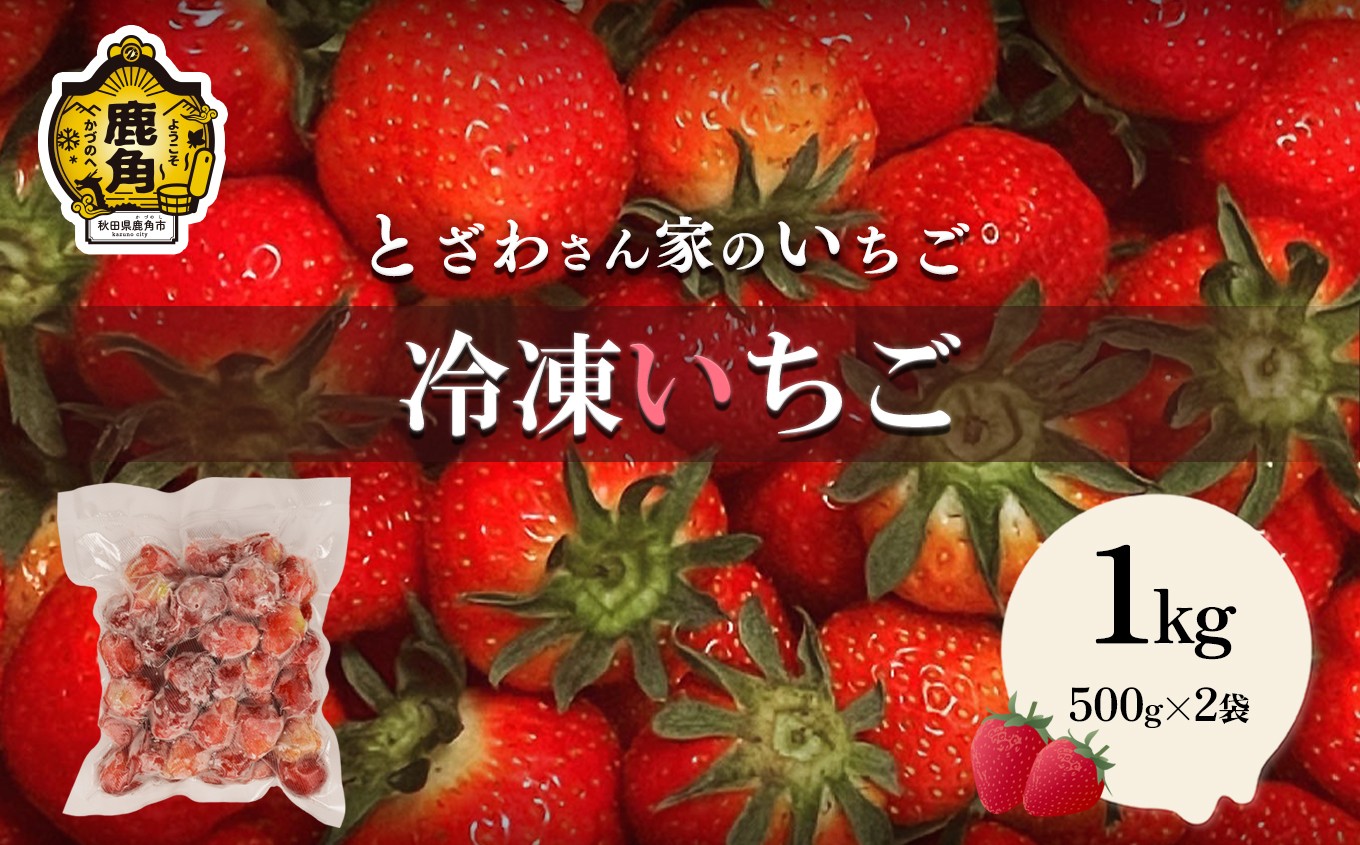 
            鹿角産 冷凍 いちご 1kg（500g×2袋）【とざわさん家のいちご】旬 県産 県産いちご 国産いちご いちご 苺 イチゴ 真空 真空パック 小分け お中元 お歳暮 お取り寄せ 母の日 父の日 グルメ 故郷 秋田 あきた 鹿角市 鹿角 送料無料
          