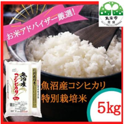 ふるさと納税 魚沼市 【令和8年産先行受付】『お米アドバイザー厳選!』魚沼産コシヒカリ　特別栽培米　精米5kg