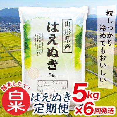ふるさと納税 最上町 【発送月固定定期便】買い忘れなしで美味しいはえぬき5kg(白米)が届く全6回