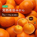 【ふるさと納税】＜11月より発送＞家庭用 完熟有田みかん3kg+90g（傷み補償分）訳あり | フルーツ 果物 くだもの 食品 人気 おすすめ 送料無料