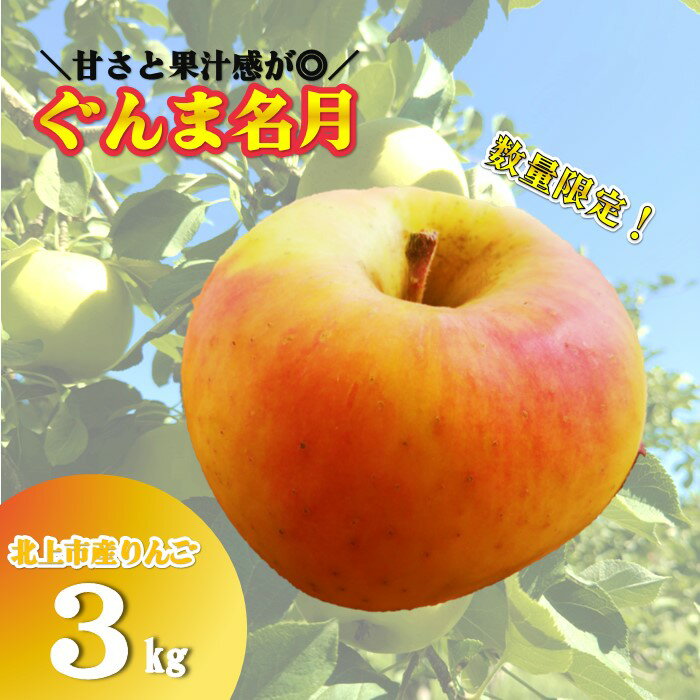 【ふるさと納税】＼ 予約受付 10月下旬発送開始予定 ／【 北上市産 りんご 】ぐんま名月 【 贈答用 】 3キロ (約8〜12玉) 数量限定 国産 林檎 果物 フルーツ 産地直送 旬 秋 冬 金鈴園