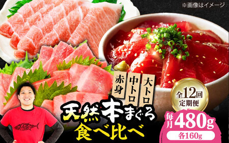 【全12回定期便】たね熟天然本まぐろ赤身＆中トロ＆大トロセット(各160g 計480g)[AOCE045]まぐろ まぐろ まぐろ まぐろ まぐろ まぐろ