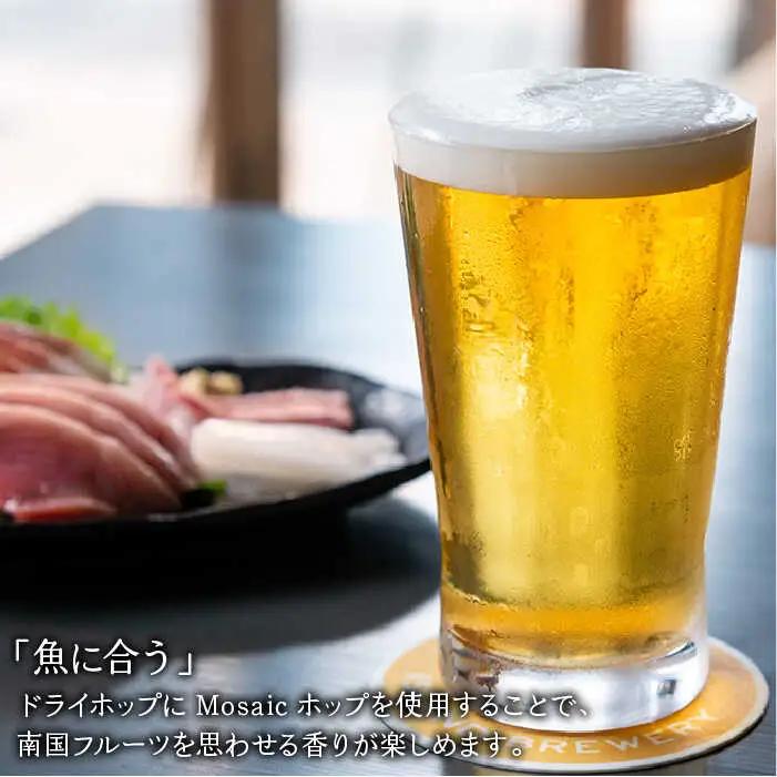【全12回 定期便 】クラフトビール 地ビール  IPA 6本 【ISLAND BREWERY】 《 壱岐市 》[JED014] 204000 204000円