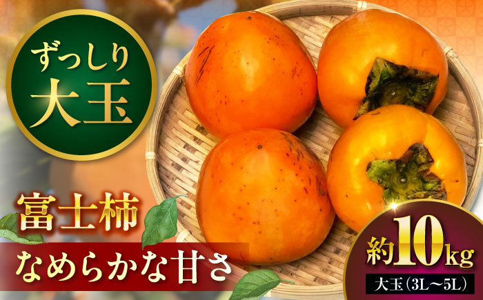 【先行予約】富士柿 10kg 愛媛県大洲市/有限会社西山青果 柿 かき 果物 ギフト フルーツ [AGAR016]