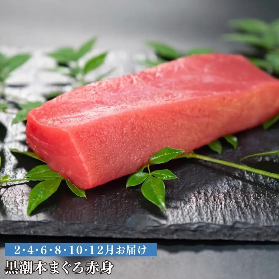 訳あり 不定貫 定期便6回 日本一!黒潮本まぐろ 赤身 (PT0080_0523)