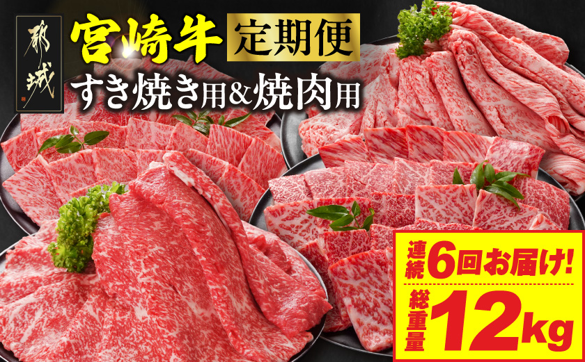 ≪6回連続お届け≫宮崎牛赤身霜降り食べ比べ定期便L(総重量12kg)_T192-6-N201