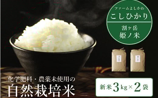 2025年収穫分、予約開始！信濃町産コシヒカリ「割ケ岳 姫乃米6kg（3kg×2）」令和7年秋出荷の新米 ｜ 農薬未使用の自然米 【長野県信濃町ふるさと納税】
