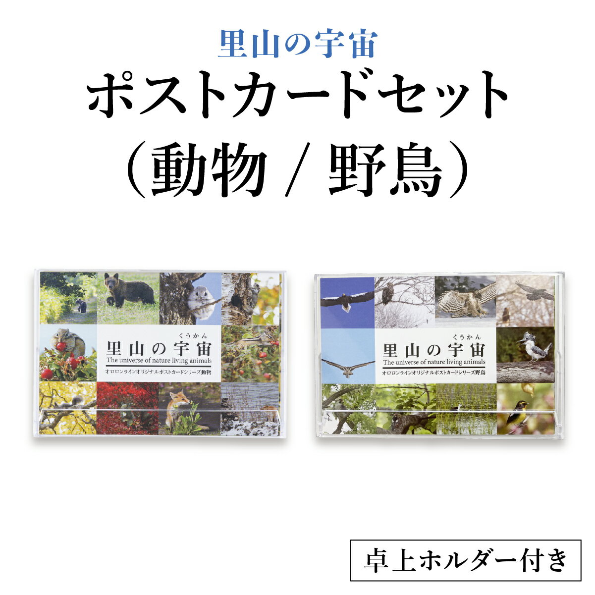【ふるさと納税】＜選べる内容＞ポストカードセット里山の宇宙 動物/野鳥【泊和幸】野鳥 自然 動物 鳥 写真 ポストカード 北海道 遠別町