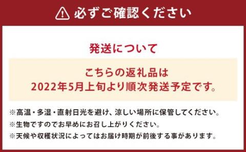 【2022年5月上旬～発送】 肥後グリーンメロン 2玉 秀品2～3L くまモン箱入り メロンドーム