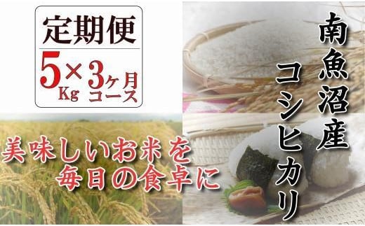 【令和６年産新米予約／令和6年9月下旬より順次発送】【頒布会】南魚沼産コシヒカリ「八龍の尾」５ｋｇ×全３回