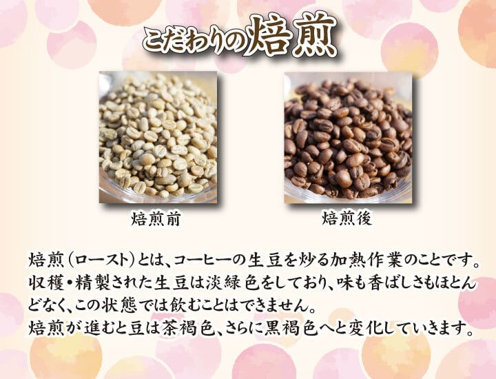 【定期便】【豆】 訳あり コーヒー豆 800g ( 400g × 2袋 ) 隔月3回 合計 2.4kg 数量限定 グアテマラ 珈琲 自家焙煎 下関 山口