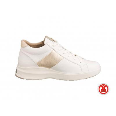 ふるさと納税 境港市 <ペダラ>レディーススニーカー 1212A103(24.5cm) |  | 01