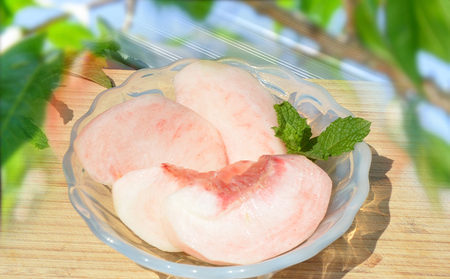 山形の硬い桃 秀品 約5kg (10～16玉) [固い桃] 【令和7年産先行予約】FS24-807