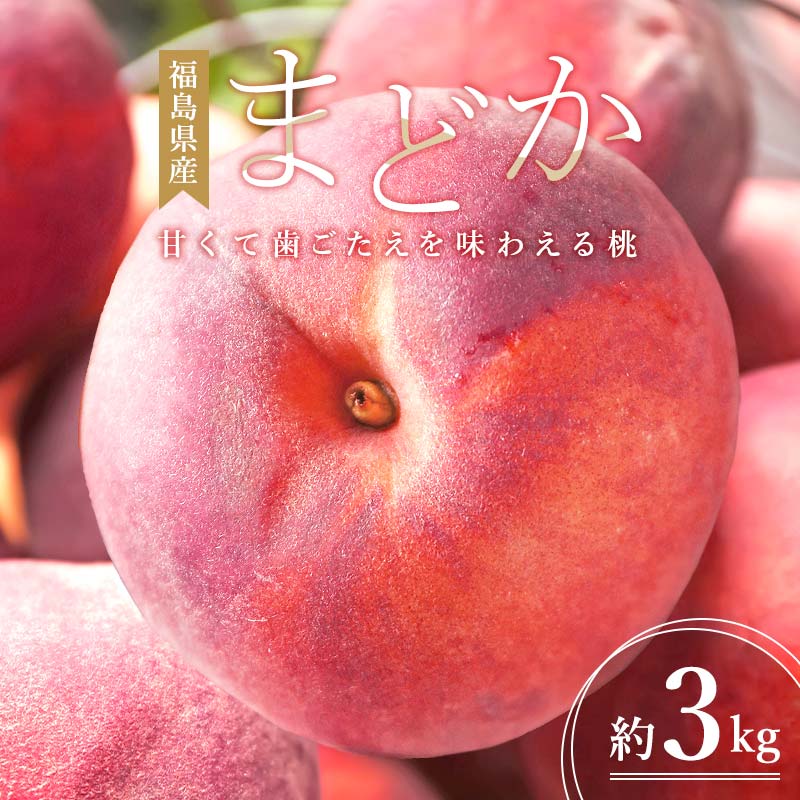 【ふるさと納税】 ＼ 2026年出荷分 ／ 福島県伊達市産 まどか 約3kg (9～10玉) 株式会社大喜 伊達の桃 桃 フルーツ 果物 もも モモ momo F21C-509