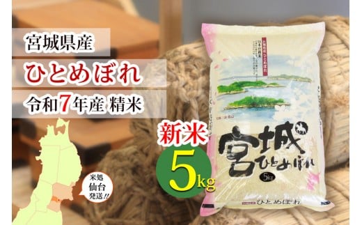 【ひとめぼれ】新米 令和7年度産 精米 5kg（5kg×1袋）宮城県産【米 お米 こめ コメ ご飯 ごはん】