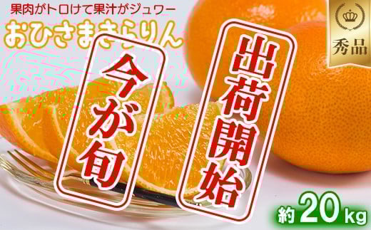 今村農園のおひさまきらりん 約20kg【秀品】 甘い オレンジ みかん ミカン 清美 10kg 12月発送 1月発送 先行予約 贈答 柑橘類 フルーツ ＜107-027_7＞