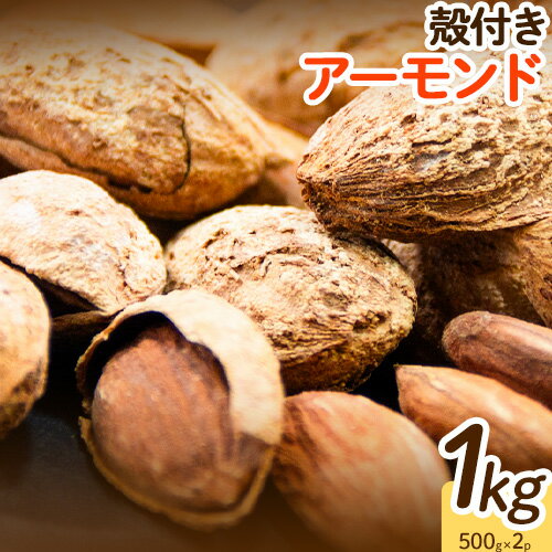 【ふるさと納税】 殻付きアーモンド 1kg 500g 2袋 ロースト アーモンド 詰め合わせ 熊本 阿蘇 産山村 送料無料 ナッツ 無塩 無添加 常食 保存食 備蓄食 常備食 小分け 大容量 人気 高評価 おつまみ お中元 お歳暮 贈答 ギフト《60日以内に出荷予定(土日祝除く)》