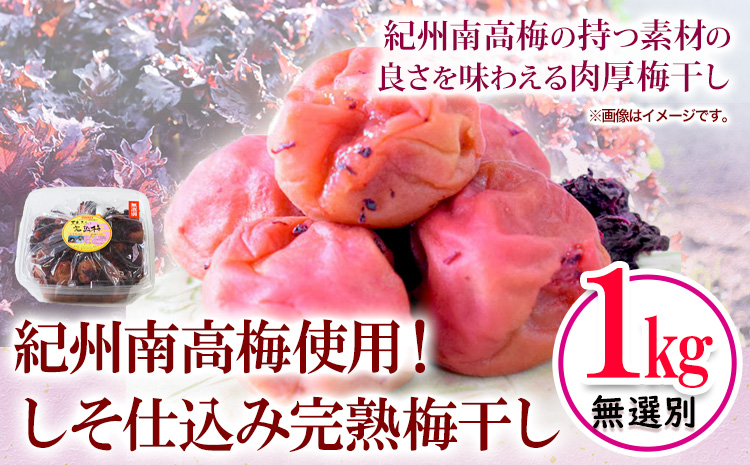紀州南高梅使用 しそ仕込み完熟梅干し 無選別 1kg 厳選館《90日以内に出荷予定(土日祝除く)》和歌山県 日高町 梅干し しそ仕込み 紀州南高梅 送料無料(F)